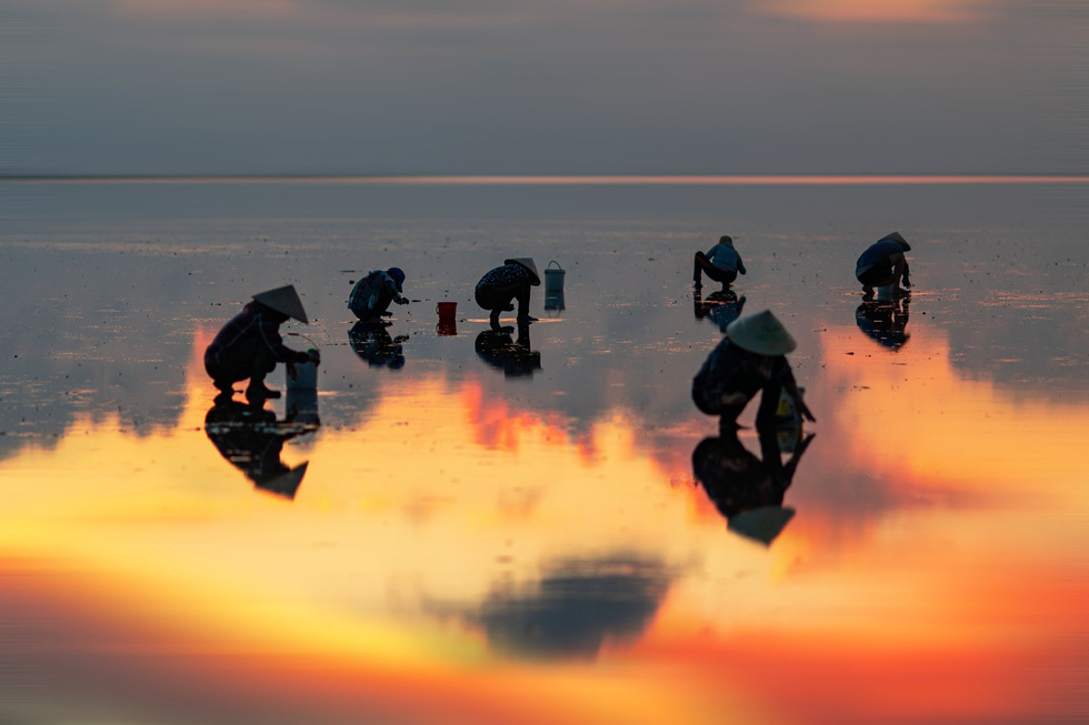 Locals harvest clams at Thuy Xuan Beach, Thai Thuy District, Thai Binh Province, northern Vietnam. Photo: Doan Ngoc Anh / Tuoi Tre