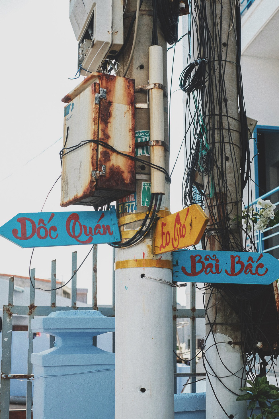 Colorful street signs in Quy Nhon City, Binh Dinh Province, south-central Vietnam. Photo: Lo Huu Duc Anh / Tuoi Tre