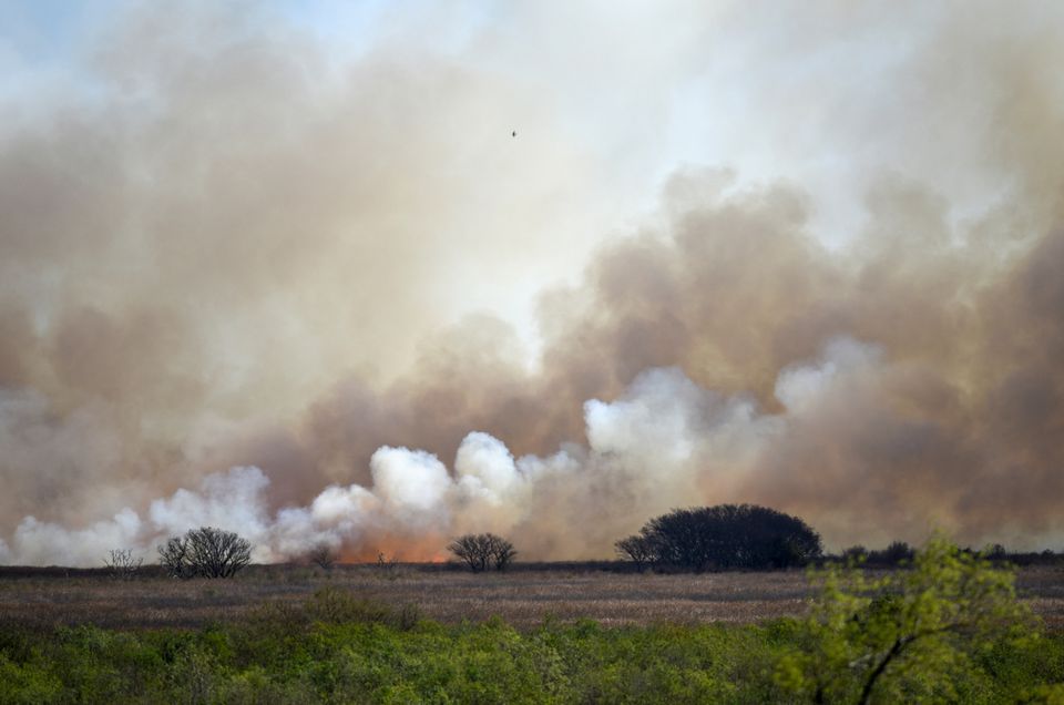 Smoke rises from the fire that continues to consume trees and pastures in a wetland near the city of Victoria, Entre Rios, Argentina August 18, 2022. Photo: Reuters