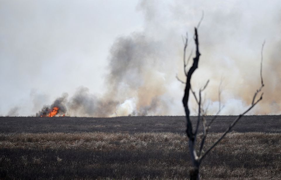 Fire burns in a wetland near the city of Victoria, Entre Rios, Argentina August 18, 2022. Photo: Reuters