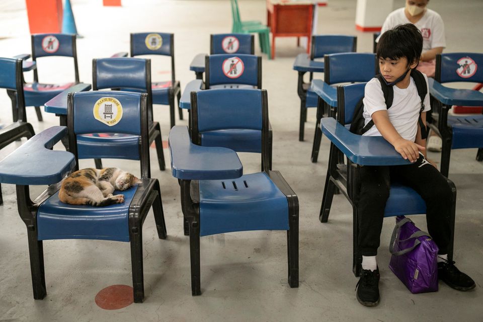 A student looks at a cat sleeping on a chair on the first day of in-person classes at a public school in San Juan City, Philippines, August 22, 2022. Photo: Reuters