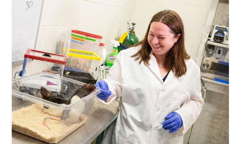 Olivia Harding handles rats as part of a study at the University of Richmond in Richmond, Virginia, on August 2, 2022. Photo: AFP