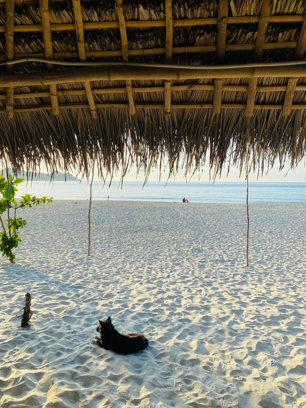 The white-sand coast of Vinh Hoa beach, Xuan Thinh Ward, Song Cau Town, Phu Yen Province. Photo courtesy of Pham Quang Tuan