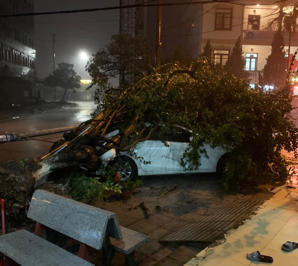An uprooted tree falls on a car in Quang Ninh Province, Vietnam, August 25, 2022. Photo: Pham Nguyen / Tuoi Tre