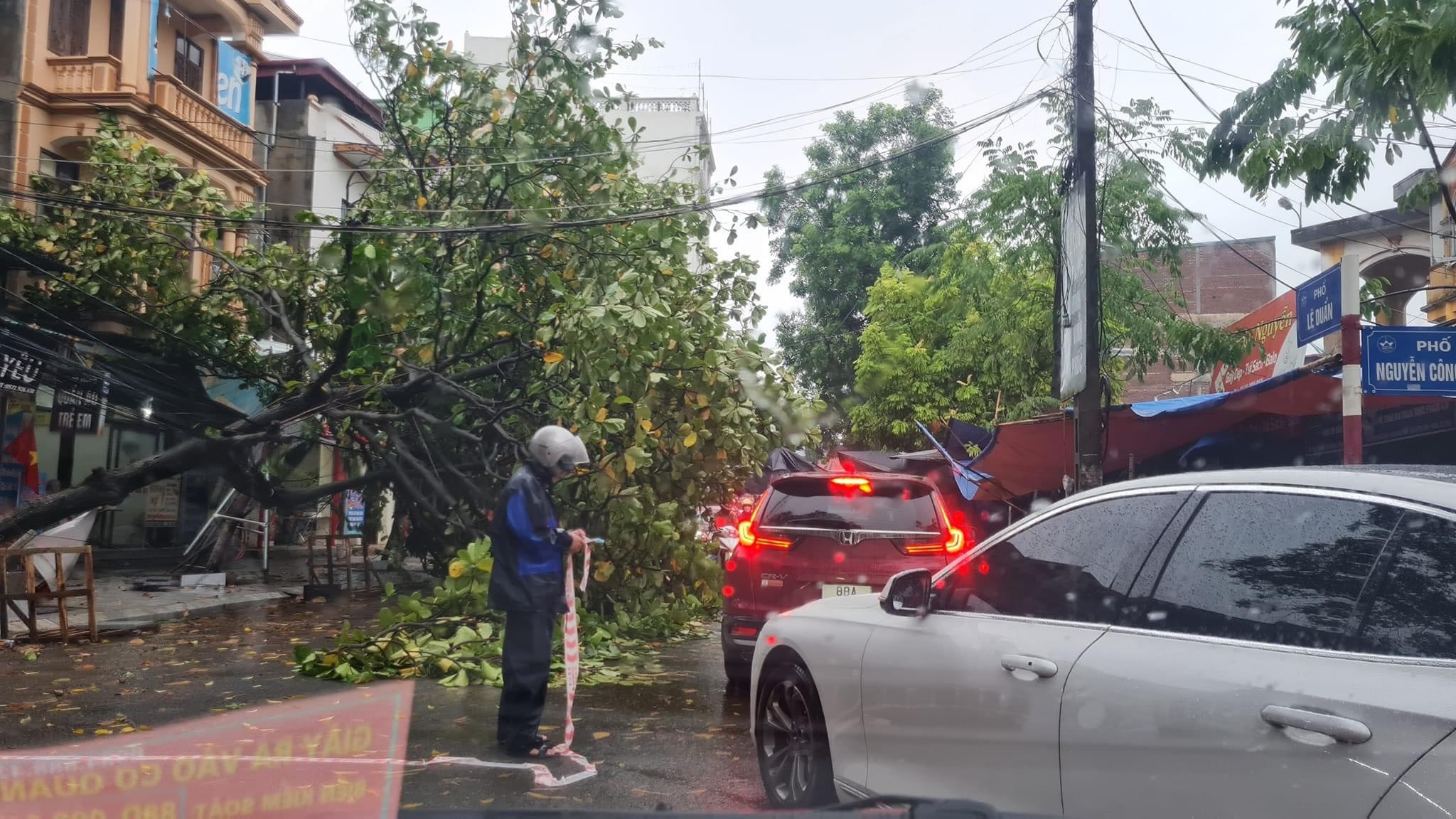 Trees are uprooted in Vinh Phuc Province, Vietnam, August 26, 2022. Photo: V.Phuc / Tuoi Tre