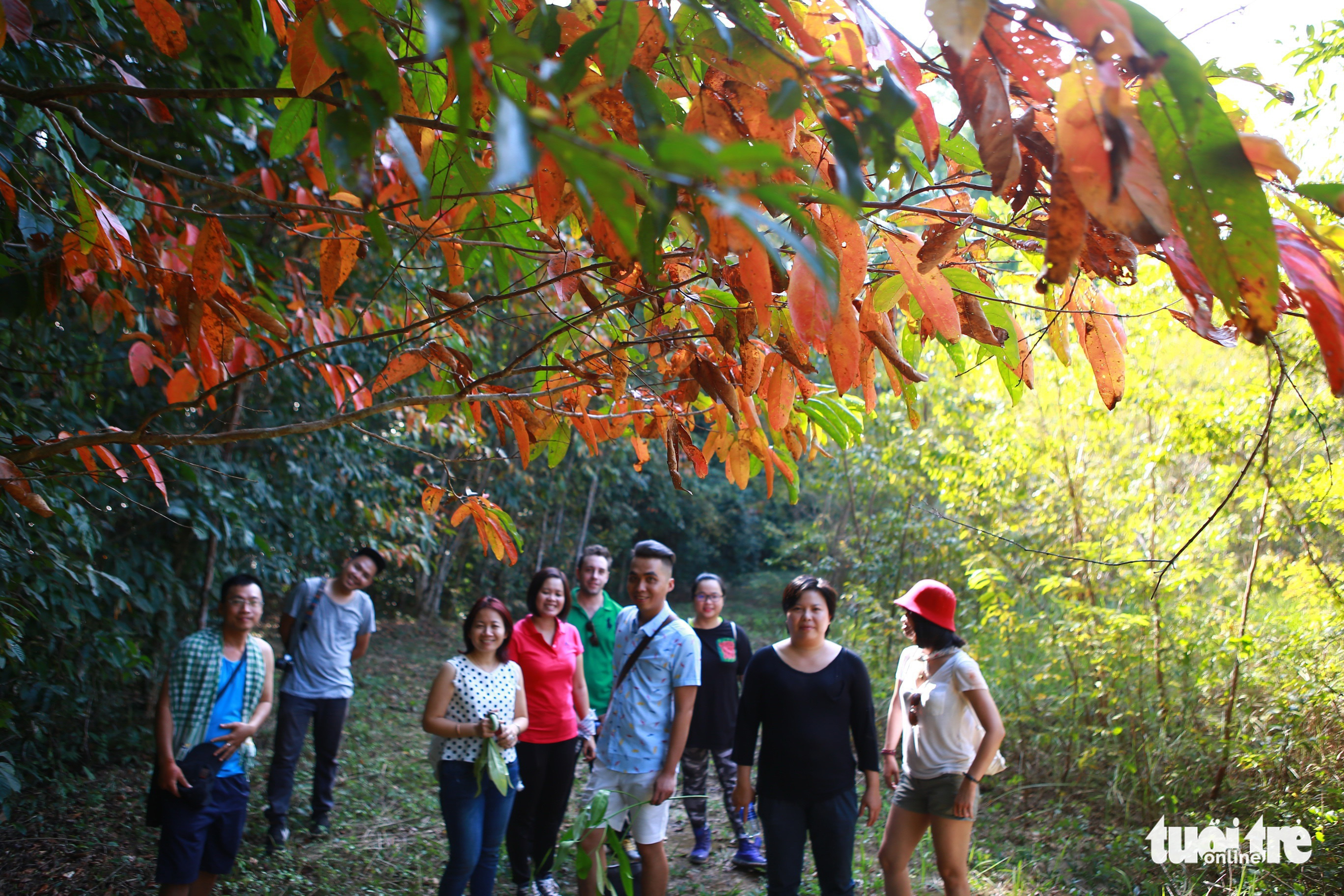 A group of visitors pose for a photo at Ma Da Forest in Dong Nai Province, Vietnam. Photo: Gia Tien / Tuoi Tre