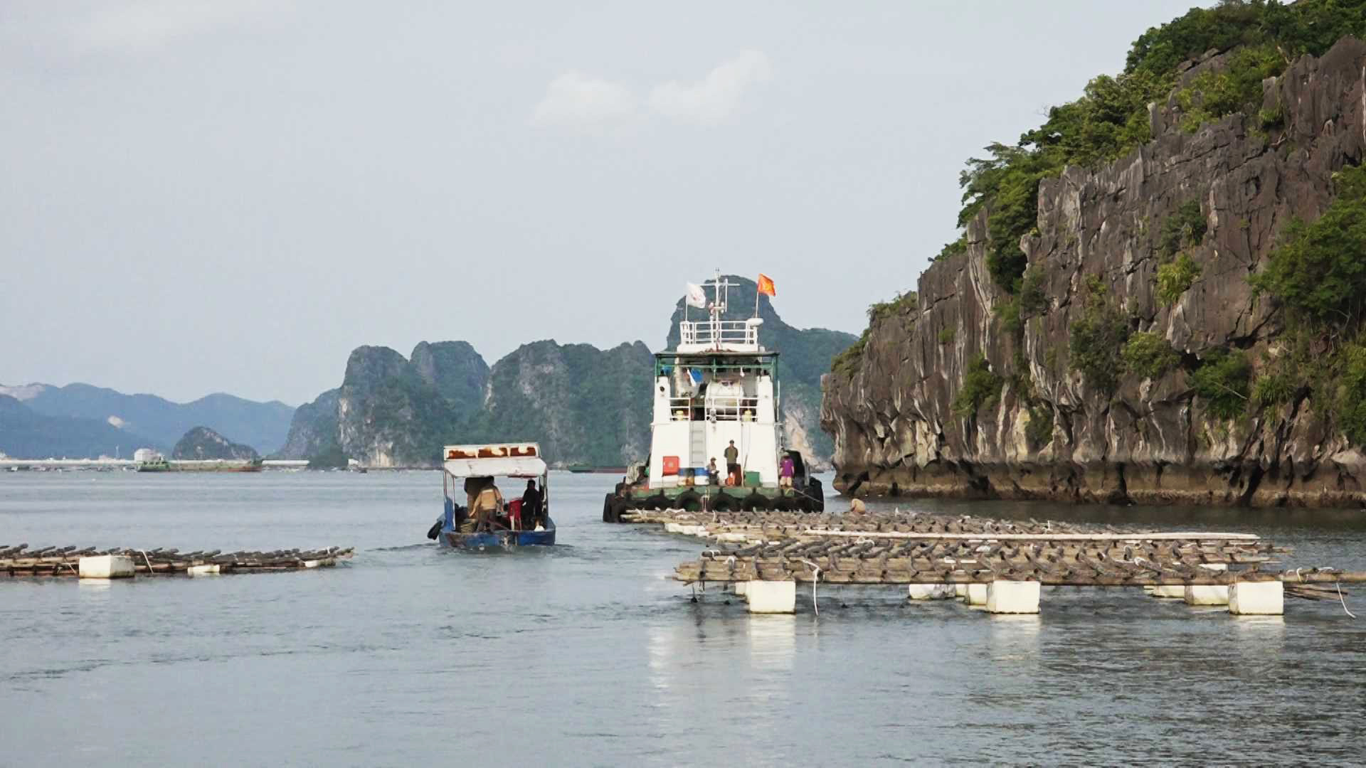Vietnamese province suspends four environment inspectors over illegal household aquaculture
