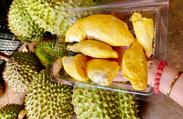 Thousands flock to Dak Lak Province’s first-ever durian festival
