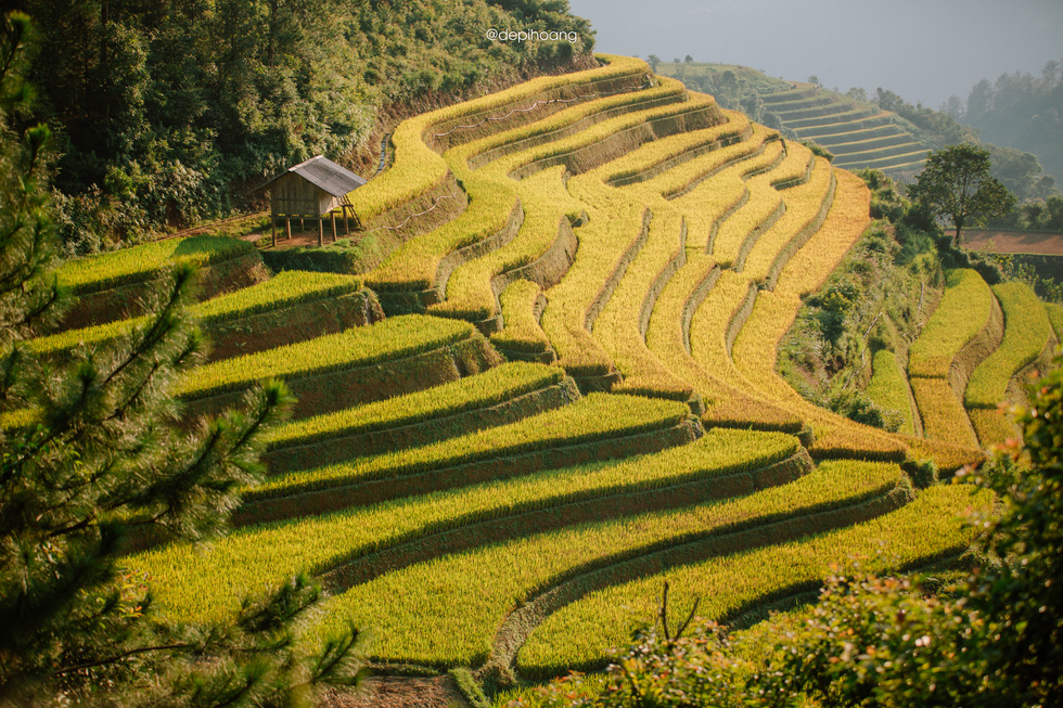 Visiting Mu Cang Chai during September and October, travelers can both admire the beautiful ripe rice fields and learn about the culture, custom, and history of local ethnic minority groups. Photo: Hoang Diep / Tuoi Tre
