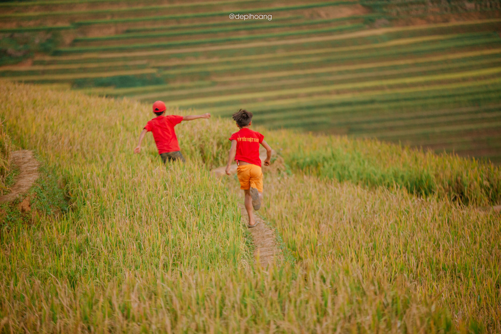 Children play in the rice fields. Photo: Hoang Diep / Tuoi Tre