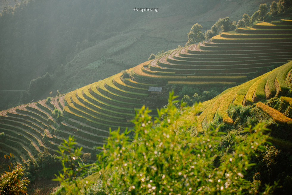 The rice fields in Mu Cang Chai are most beautiful in September and October. Photo: Hoang Diep / Tuoi Tre