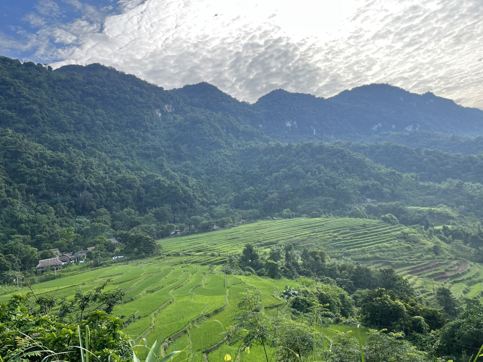 The magnificent scenery on the way to Pu Luong, with endless green mountains covered by trees and pristine forests. Photo: Hoang Duyet/ Tuoi Tre