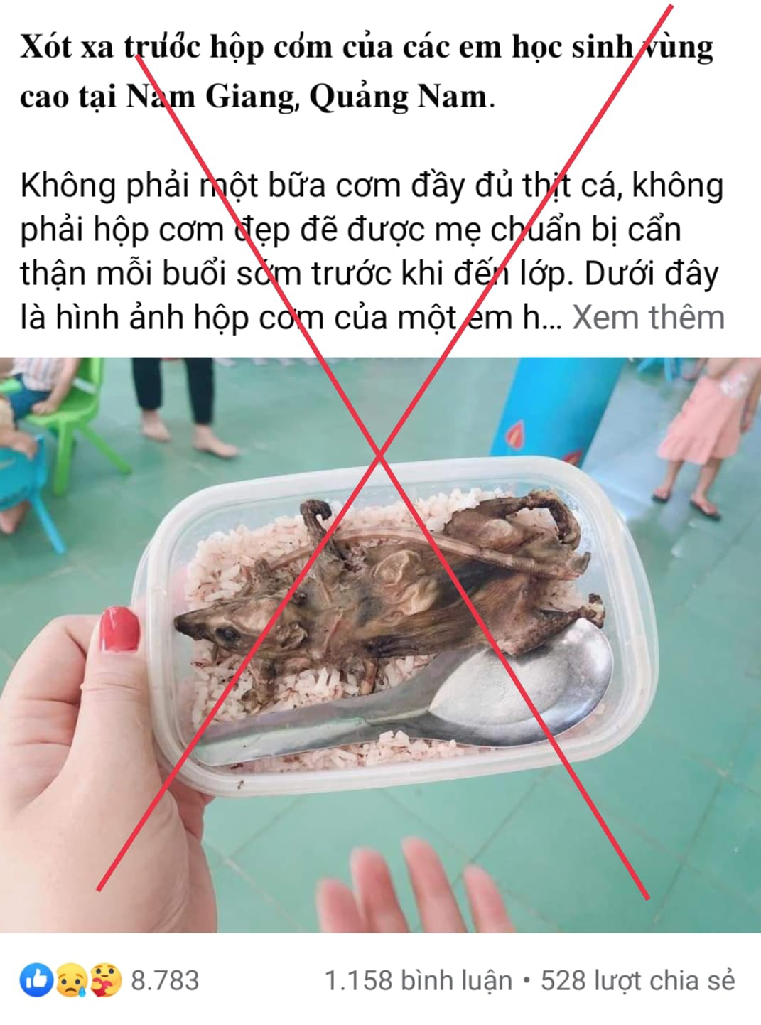 Old photo causes misunderstanding of central Vietnamese school giving students rat meat meals