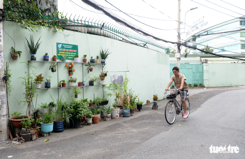 The Women’s Union of Quarter 2, Ward 22, Binh Thanh District hangs many tree pots on a wall to prevent graffiti. Photo: T.T.D. / Tuoi Tre