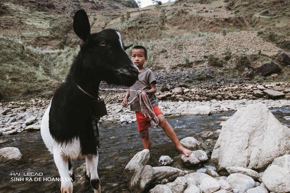 A Mong ethnic child tends to a goat. Photo: Hai Le Cao / Tuoi Tre