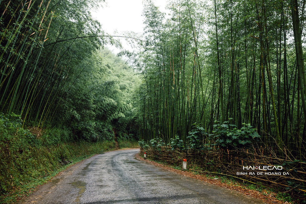 An unplanned trip along a winding path. Photo: Hai Le Cao / Tuoi Tre