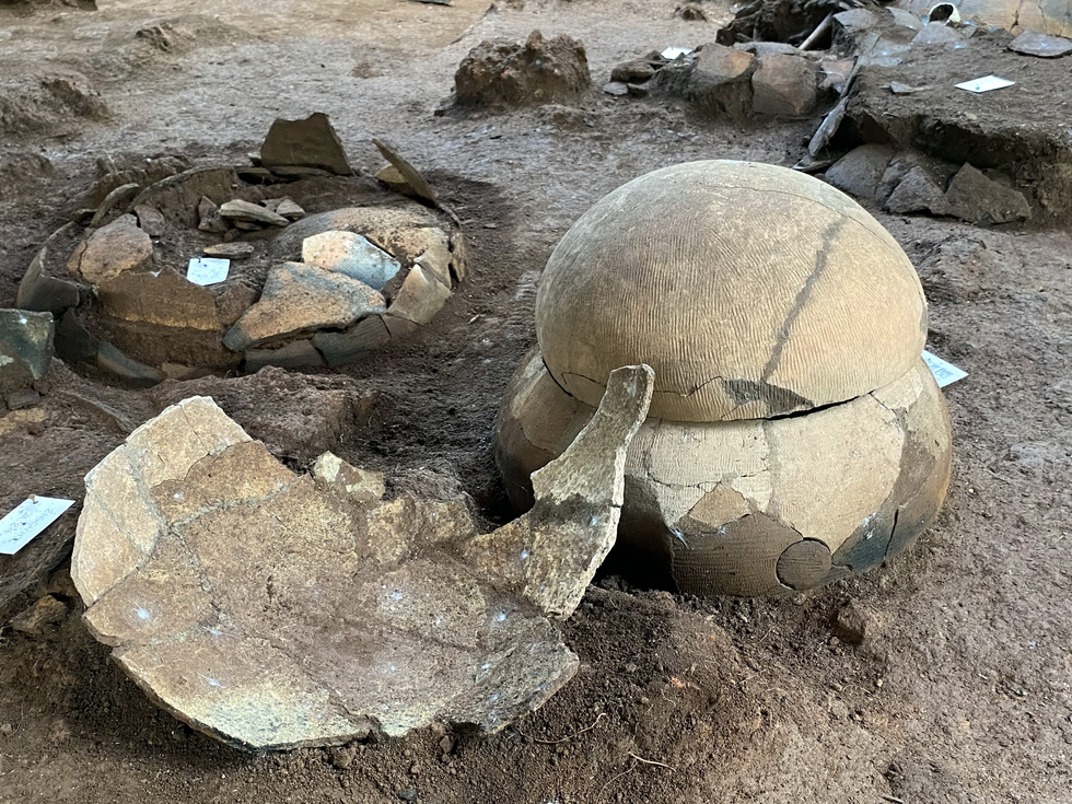 The high density of burial jars at the Giong Ca Vo archaeological site. Photo: L.Dien / Tuoi Tre