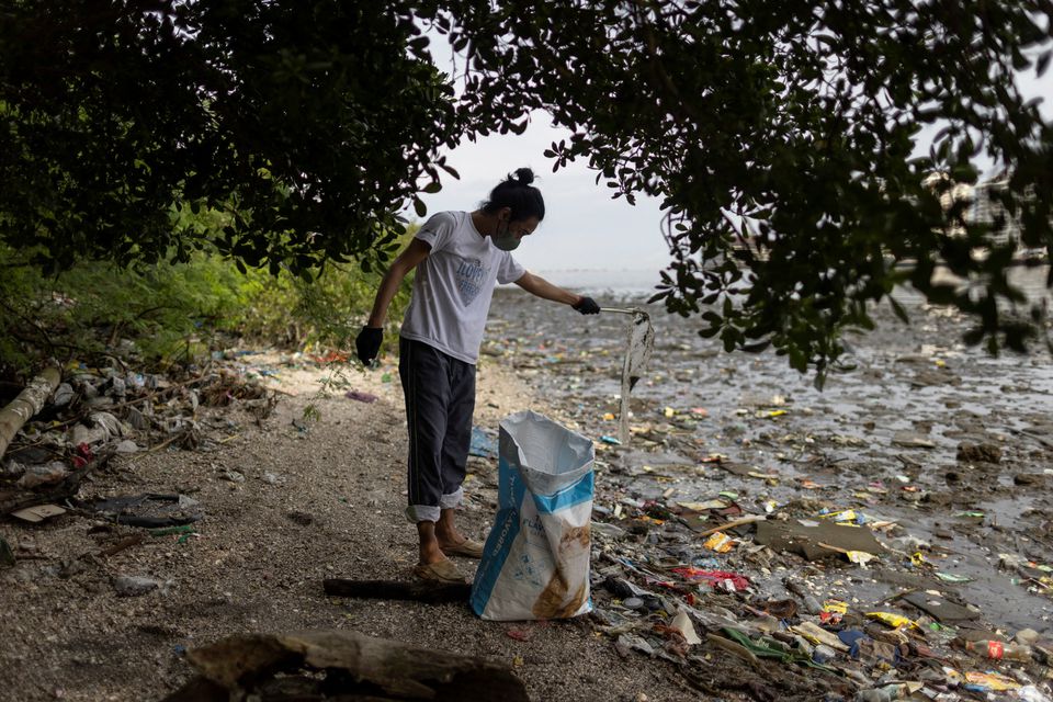 A volunteer picks up trash during a coastal cleanup drive at a protected bird sanctuary, ahead of the International Coastal Cleanup Day in Paranaque City, Philippines, September 16, 2022. Photo: Reuters