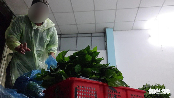 A trader at a wholesale market delivers vegetables to Trinh Nhi Company’s processing unit. Photo: Bong Mai/ Tuoi Tre