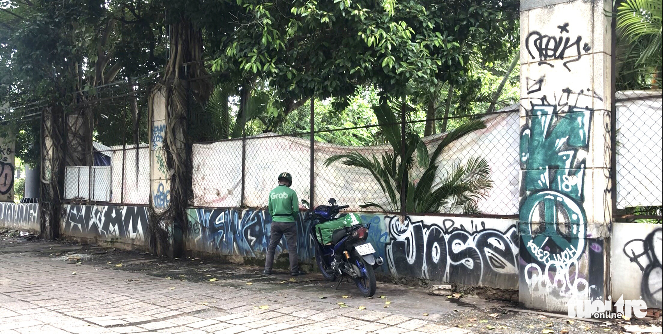A Grab motorbike partner urinates onto a fence of the 23-9 Park in District 1, Ho Chi Minh City. Photo: Luu Duyen / Tuoi Tre