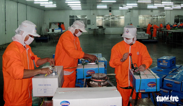 Workers in An Giang package tra fish fillets for export. Photo: Minh Khang / Tuoi Tre