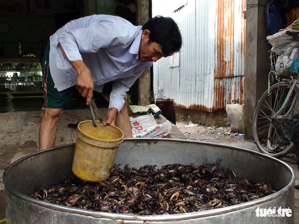 Nguyen Van Mong is classifying field crabs according to their size.