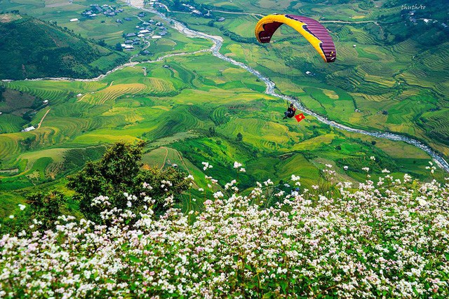 A paraglider flies over ripening rice fields down Khau Pha mountain pass in Mu Cang Chai District, Yen Bai Province, Vietnam in this photo taken in September 2019. Photo: VIETWINGS/ Tuoi Tre