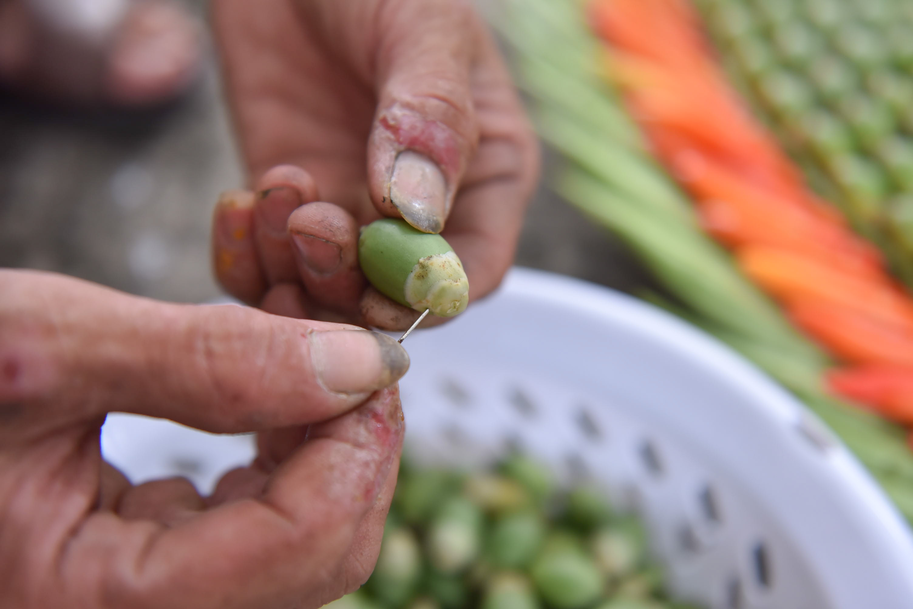 Betel nuts are positioned by pins. Photo: Ngoc Phuong / Tuoi Tre News