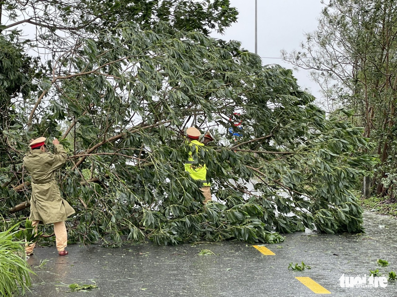 Officers remove an uprooted tree from a street in Da Nang City, Vietnam, September 28, 2022. Photo: Doan Cuong / Tuoi Tre