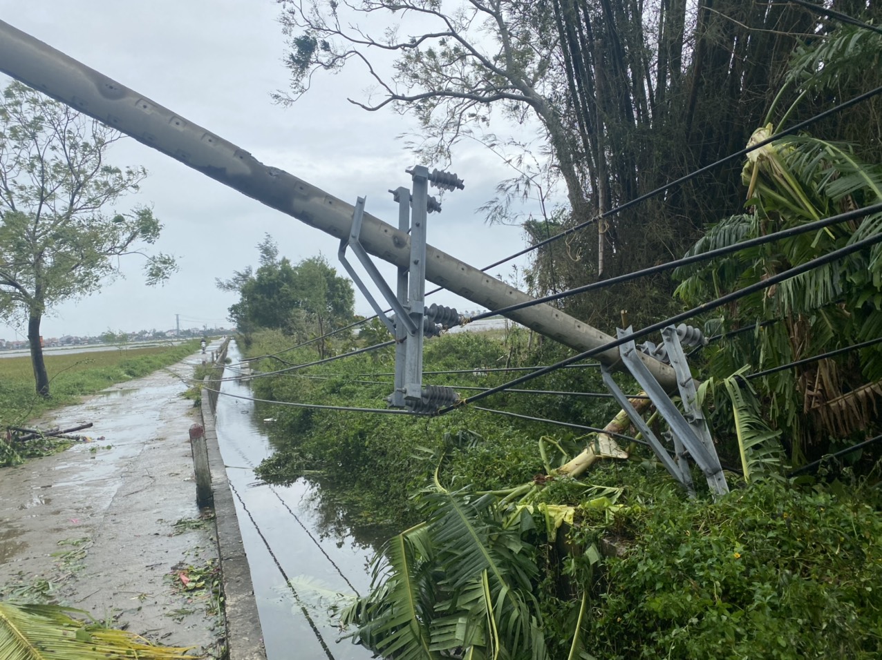 A utility pole is broken due to strong gusts in Quang Nam Province, Vietnam, September 28, 2022. Photo: B.D. / Tuoi Tre