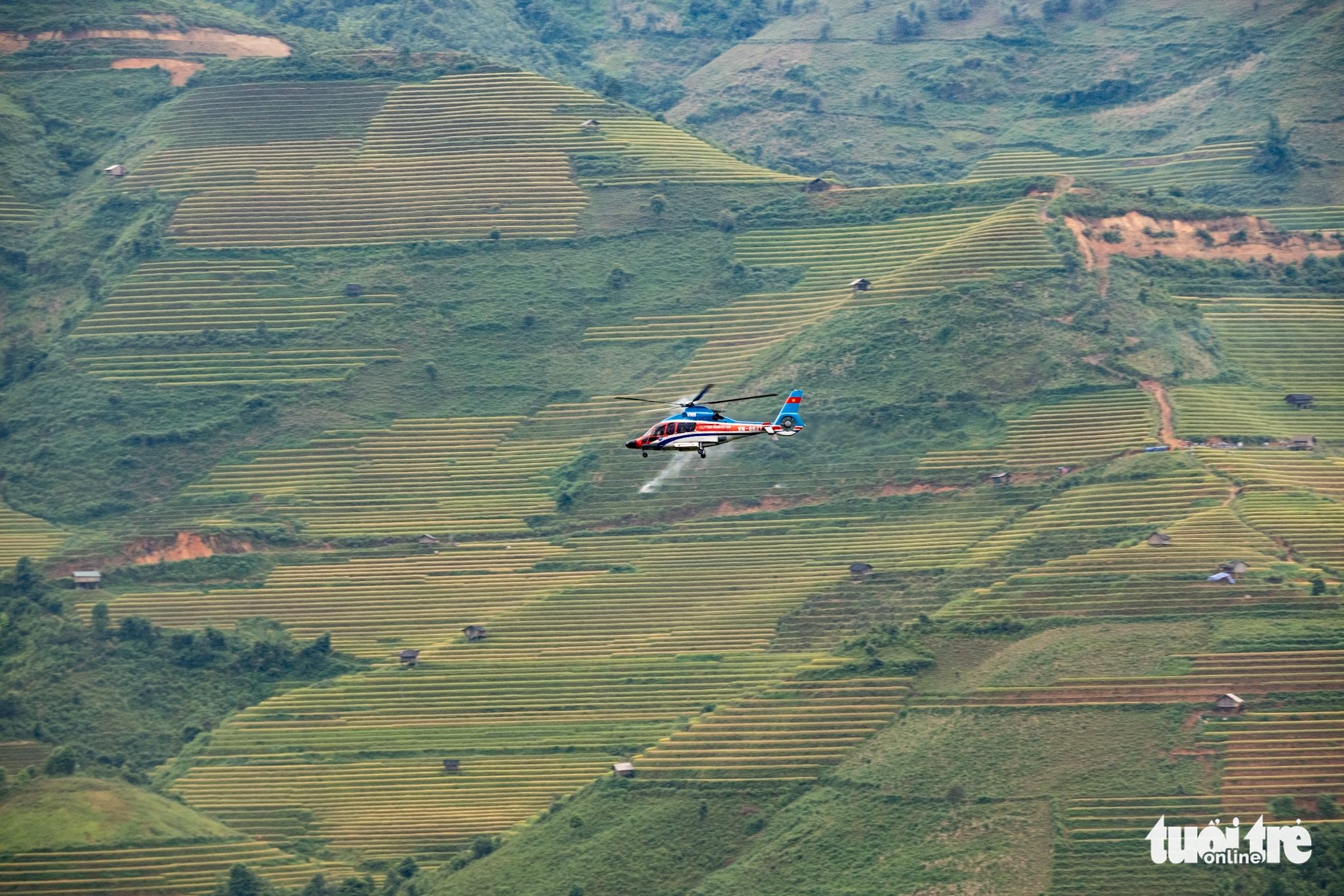 A tourist helicopter flies across the sky in Mu Cang Chai. Photo: Nam Tran / Tuoi Tre