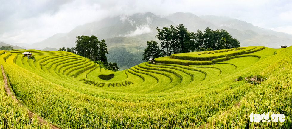 A panorama photo of Mong Ngua Hill in Mo De Commune, Mu Cang Chai District, Vietnam. Photo: Nam Tran / Tuoi Tre