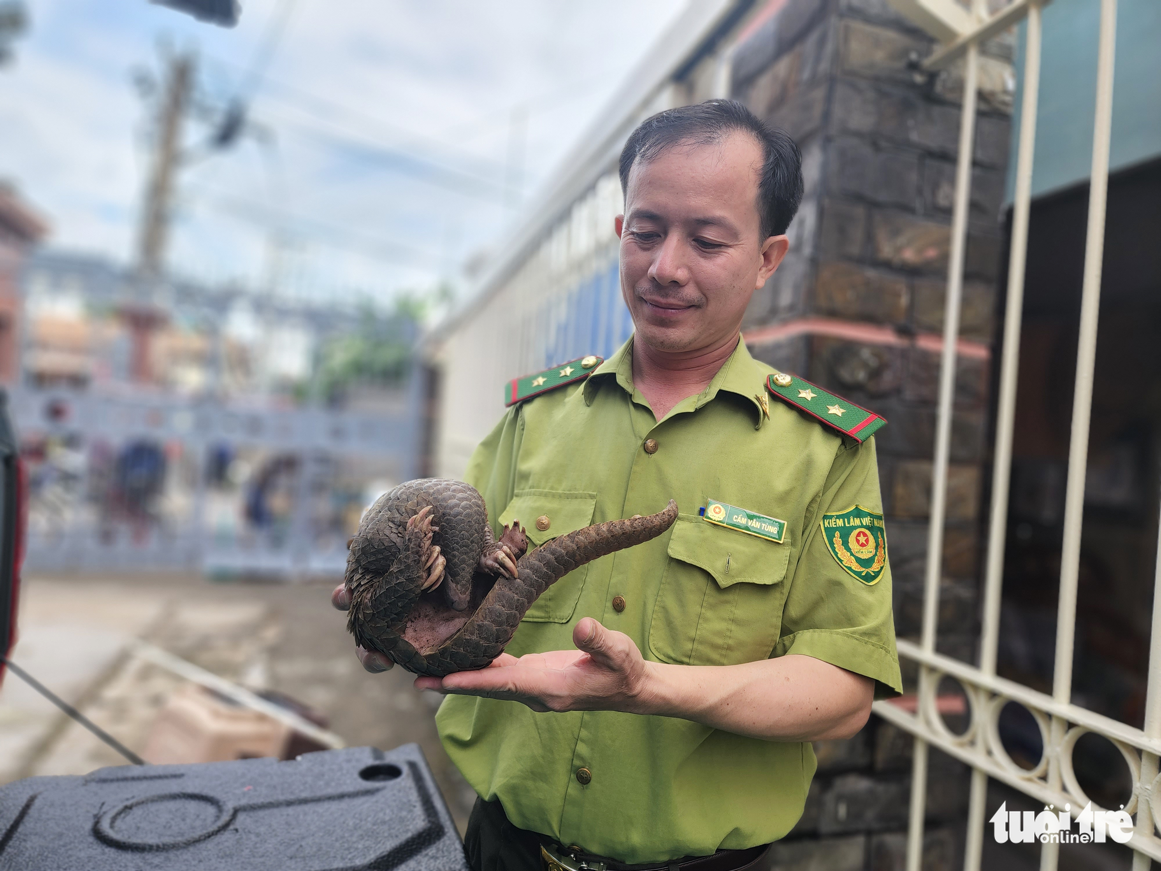 Ho Chi Minh City man hands over pangolin after buying from street seller