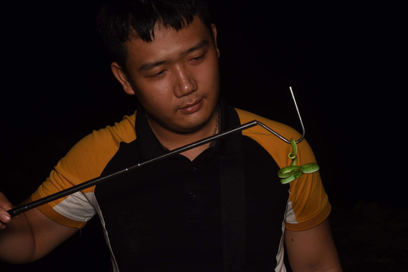 Nguyen Huy Hoang, a member of the snake rescue group, is one of the skillful members rescuing snakes. Photo: H.D. / Tuoi Tre
