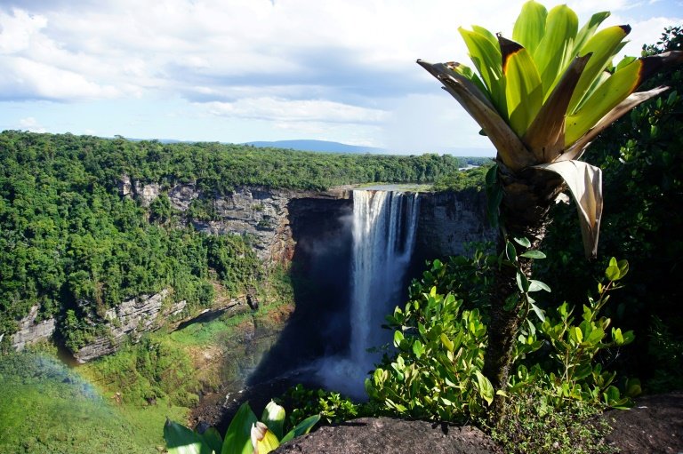 Guyana claims to already be carbon neutral, due to its small population and economy coupled with lush forests, such as in Kaieteur National Park. Photo: AFP