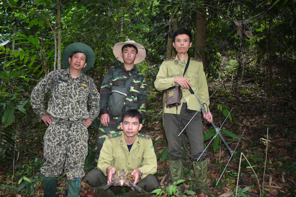 Forest rangers discover an impressed tortoise at Pu Hu Nature Reserve in Thanh Hoa Province, north-central Vietnam. Photo: Supplied