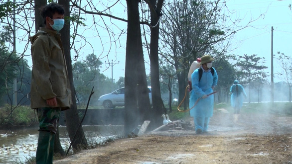 Vietnam’s ministry urges efforts against human bird flu following first case after 8 years