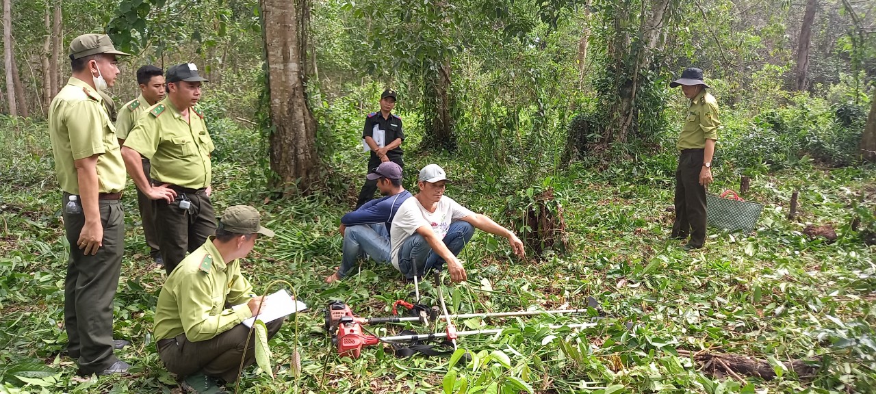 2 men in custody for destroying nearly 2,000 sqm of forest in southern Vietnam island