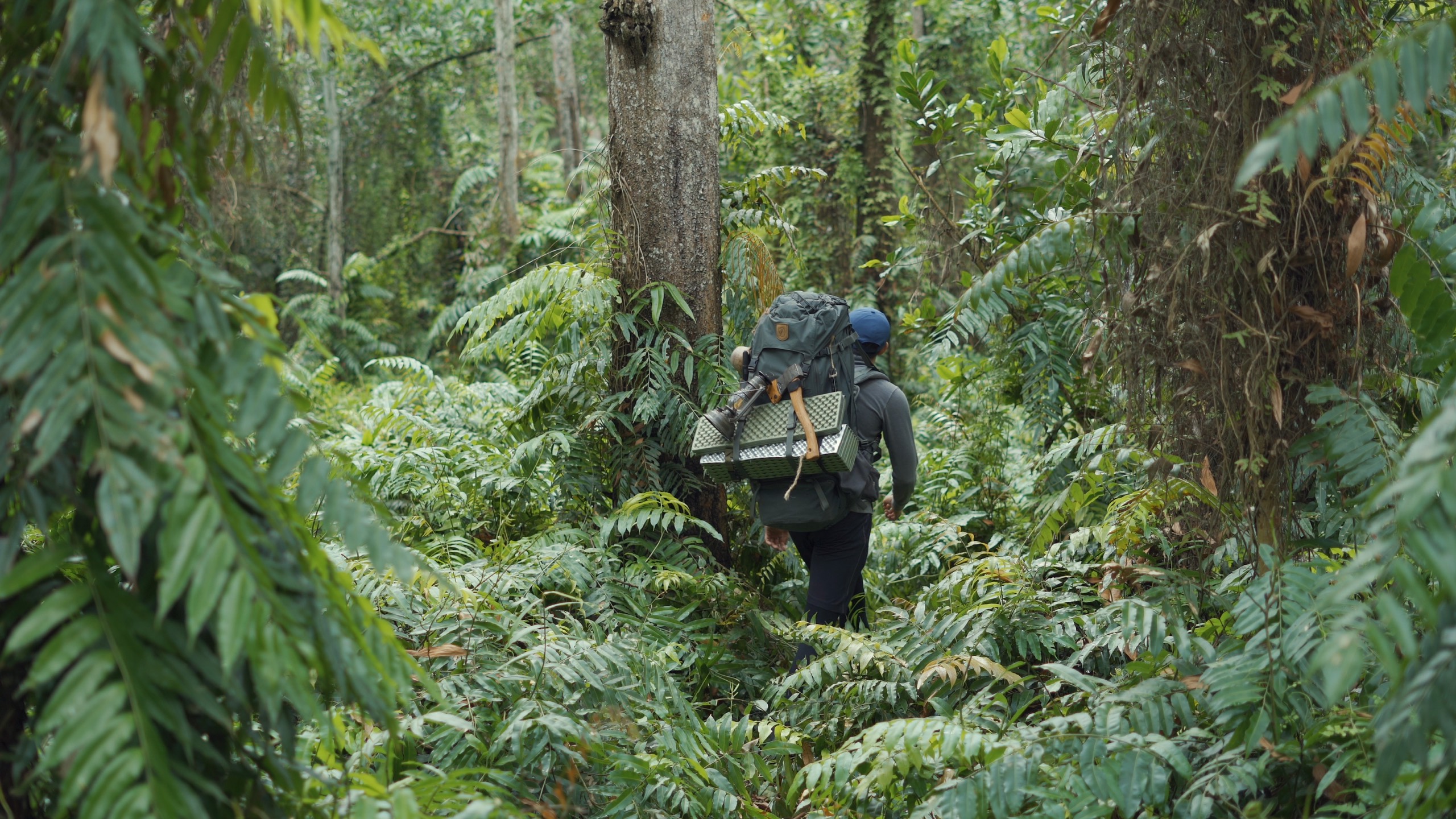A supplied photo shows Lu Hoang Thong carrying his camping gadgets while walking into the forest alone.