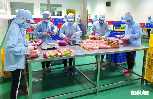 Food processing companies face pressure as their foreign partners’ demand falls. Photo: N.Tri / Tuoi Tre