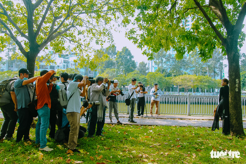 Freshwater mangrove trees in fall foliage draw photo seekers in Ho Chi Minh City