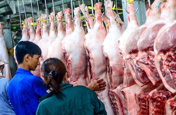 Pork with traceability rings are traded at the Binh Dien Wholesale Market in Ho Chi Minh City. Photo: Quang Dinh / Tuoi Tre