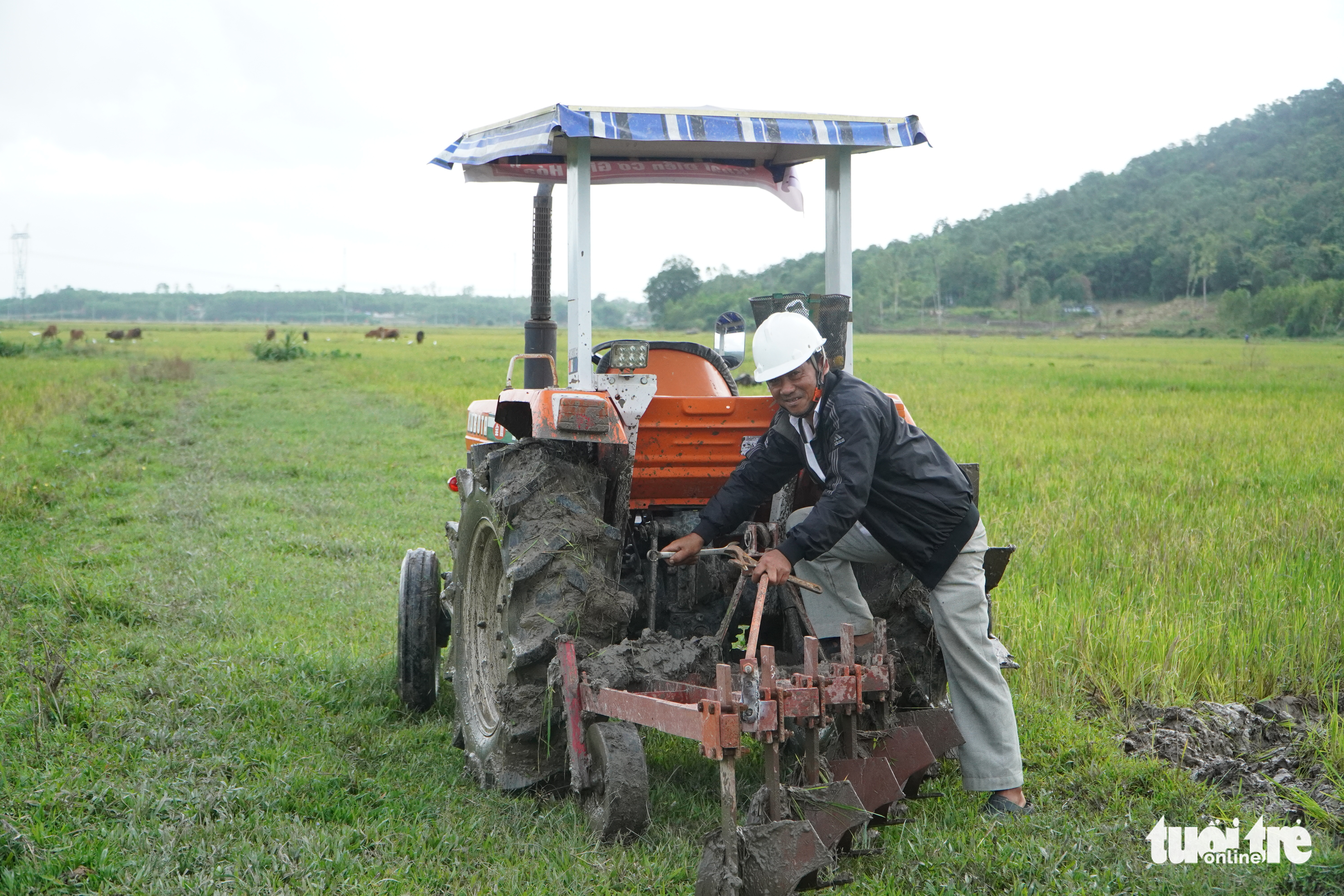 A contestant prepares his machine during a plowing competition in Quang Nam Province, Vietnam, November 14, 2022. Photo: Le Trung / Tuoi Tre