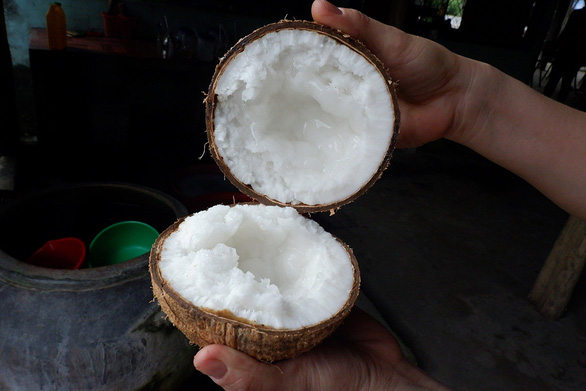 Where to find Vietnam's most expensive coconut?