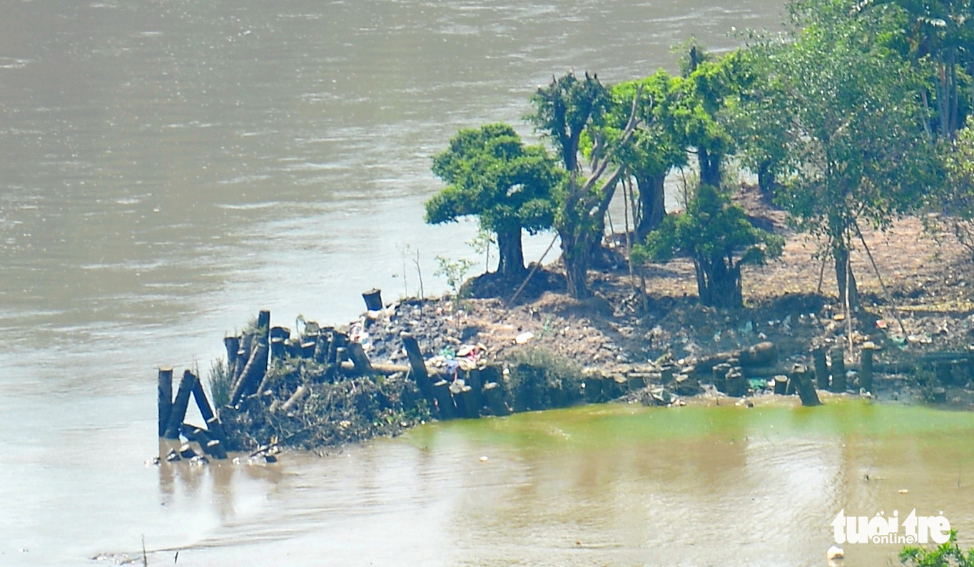 Trees are planted on a new plot that is formed by encroaching on a riverbed in Nha Be District, Ho Chi Minh City. Photo: Tu Trung / Tuoi Tre