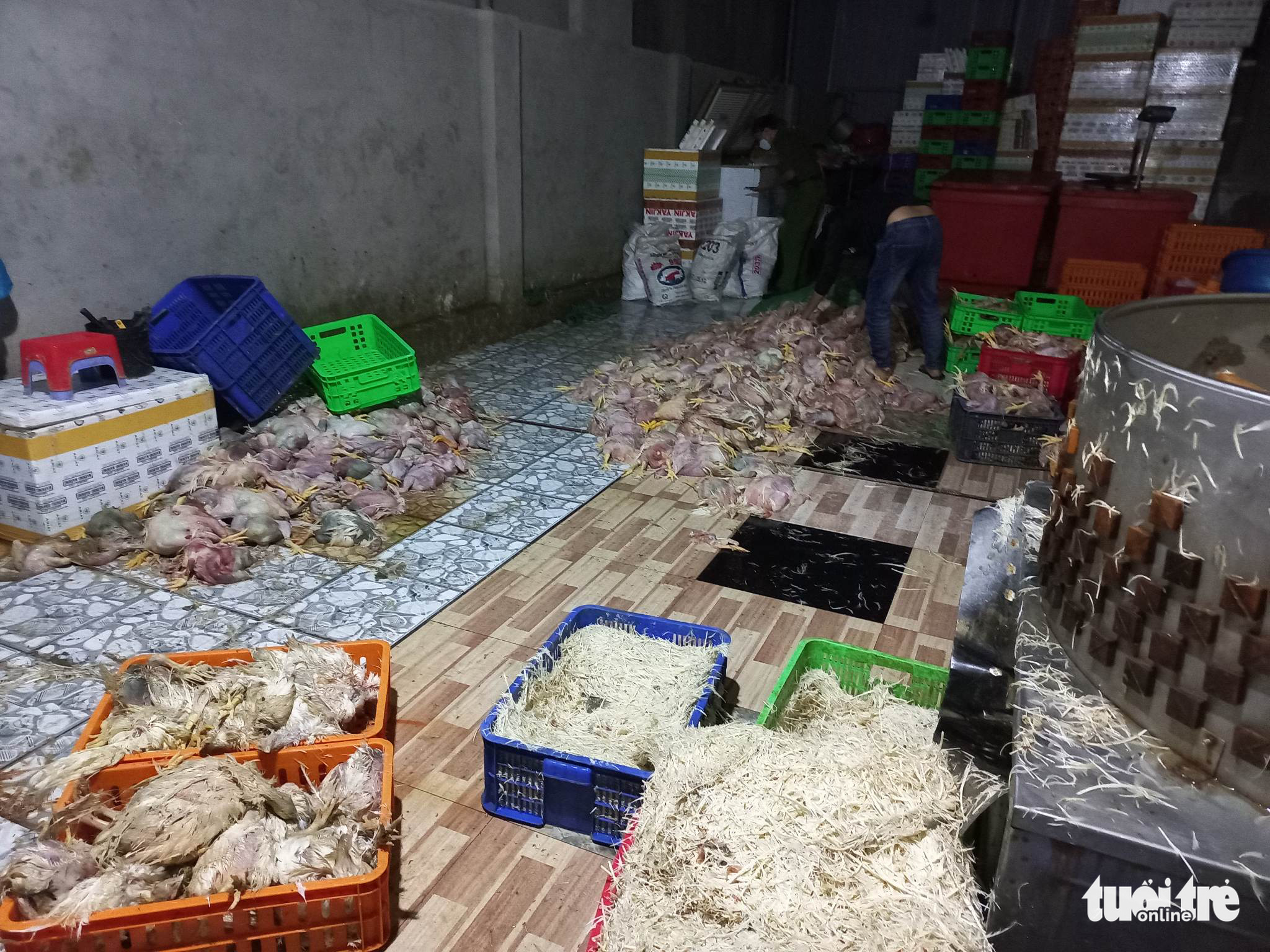 Facility caught trading in over 2 tonnes of dead chickens in southern Vietnam