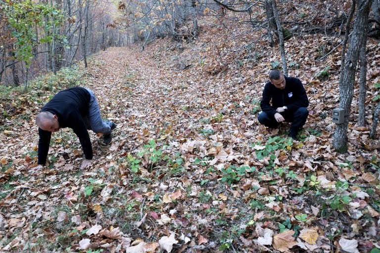 Forest engineer Ilir Shyti (L) and biologist Melitjan Nezaj (R) test a wildlife trail camera to capture images of Balkan lynx at the Prespa National Park, near Korce, southeastern Albania, on November 1, 2022. Photo: AFP