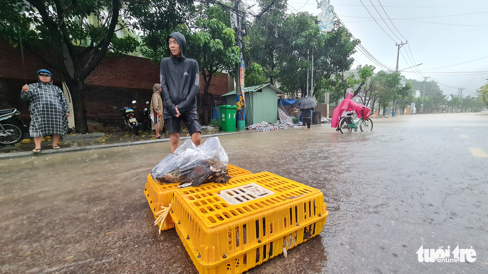 Many chickens are killed by the flood. Photo: Lam Thien / Tuoi Tre