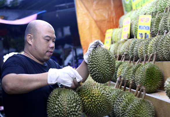 Durians are put up for sale on Nguyen Tri Phuong Street in District 5, Ho Chi Minh City on November 22, 2022. Photo: Tu Trung / Tuoi Tre