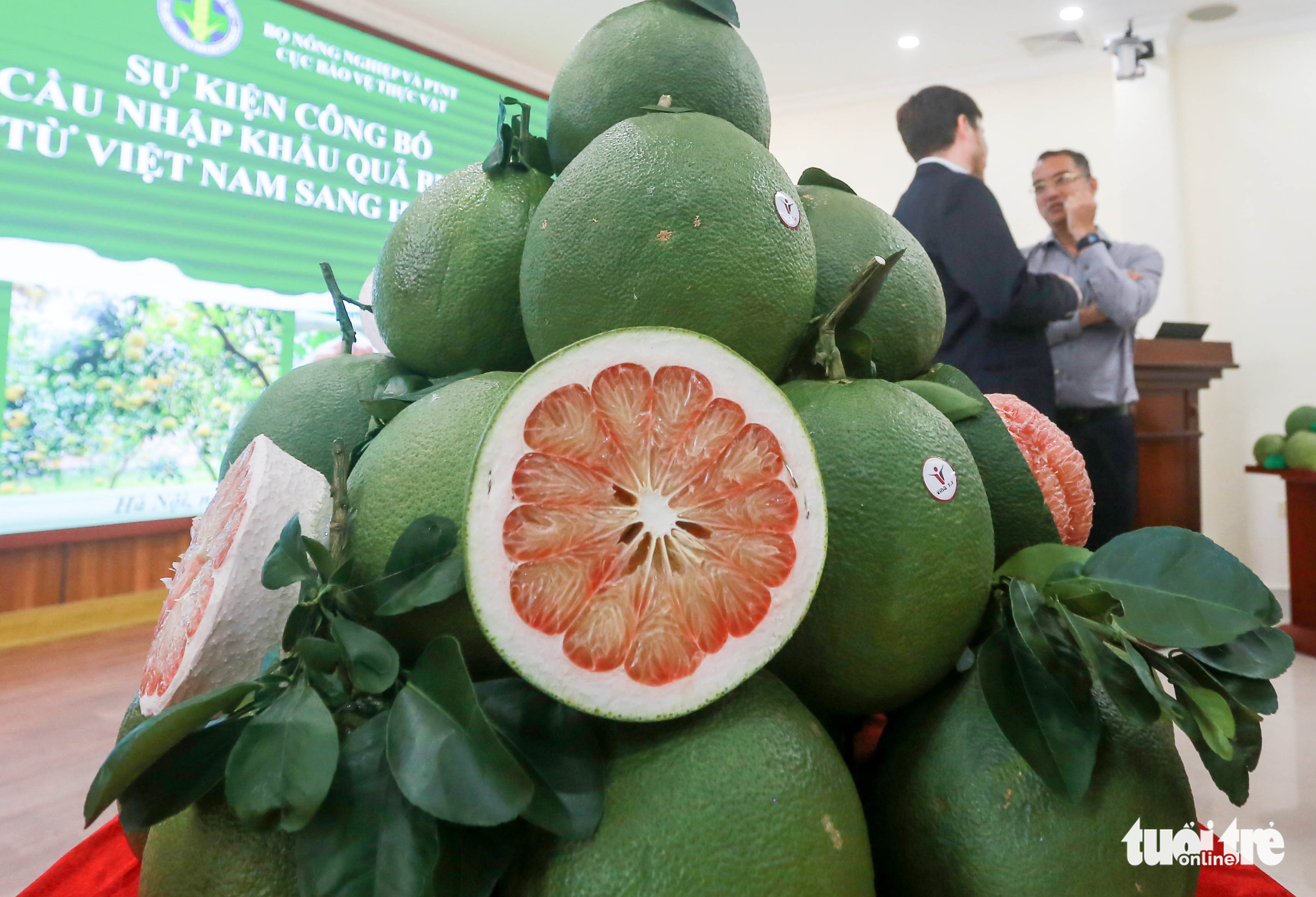 Vietnam officially exports first batch of green-skinned pomelos to US